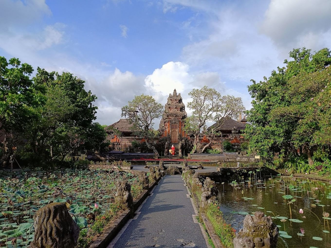 blog-images