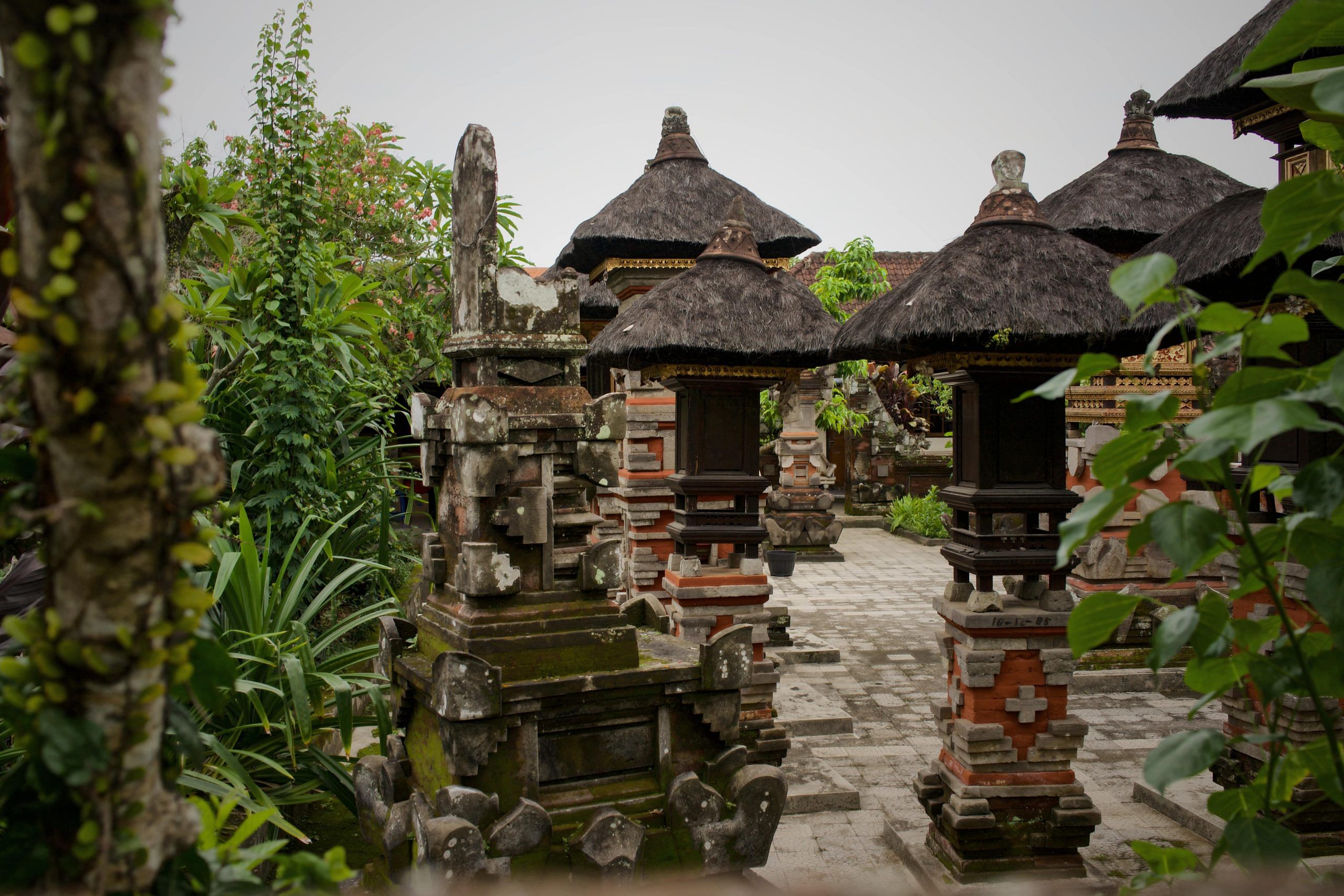 blog-images
