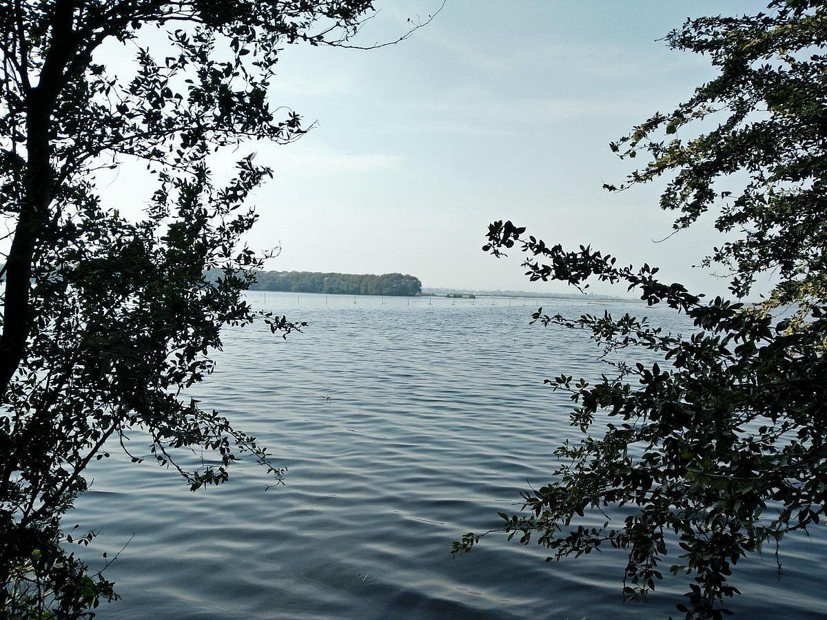 blog-images