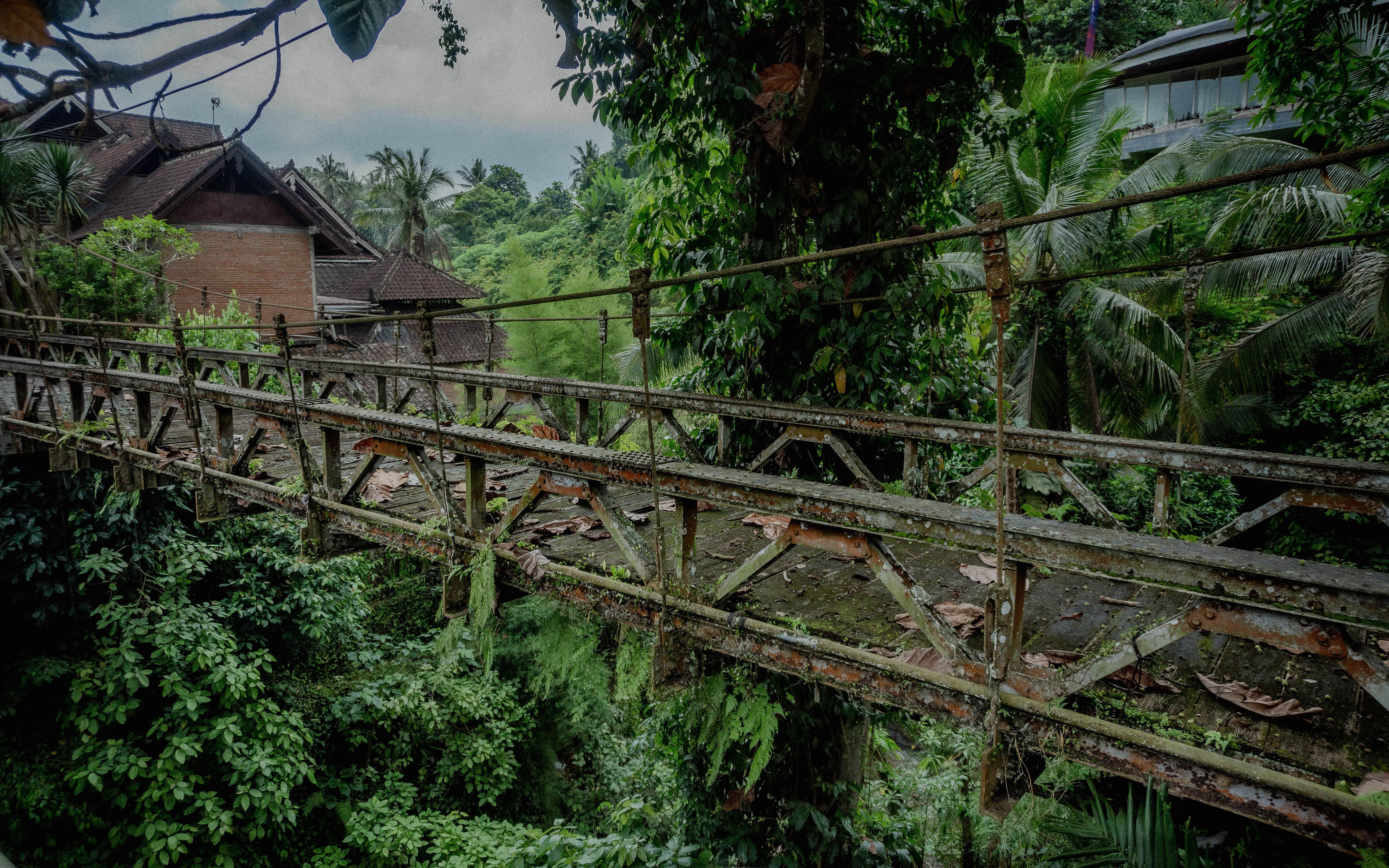 things-to-do-in-ubud