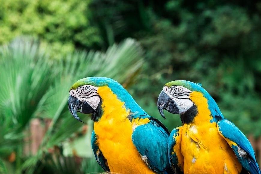 bird-sanctuaries-in-the-world