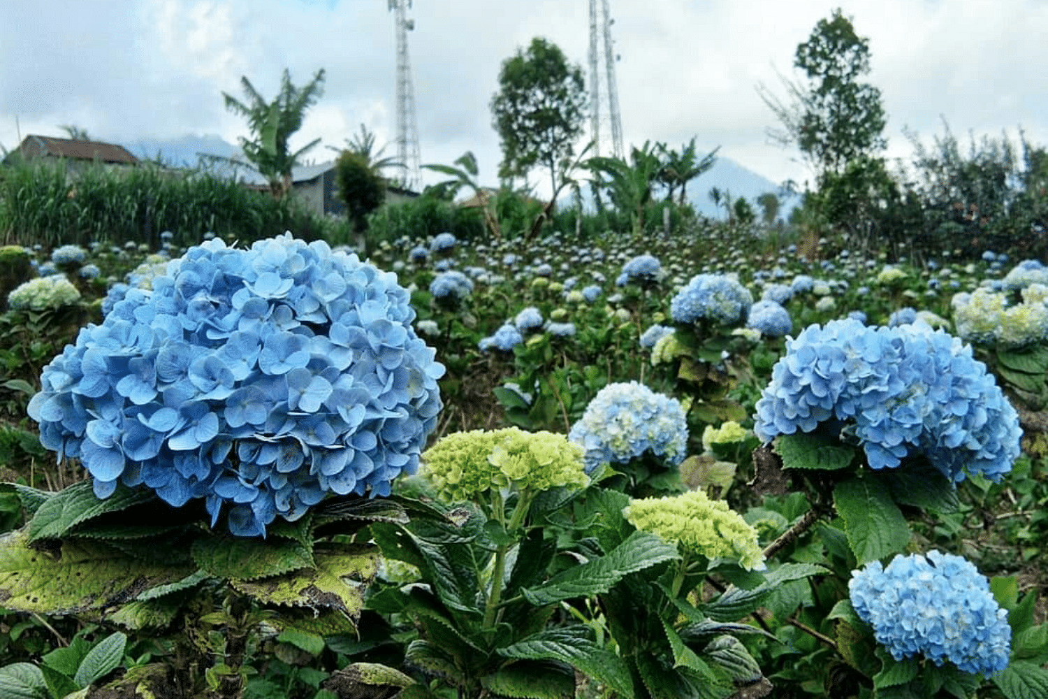 blog-images