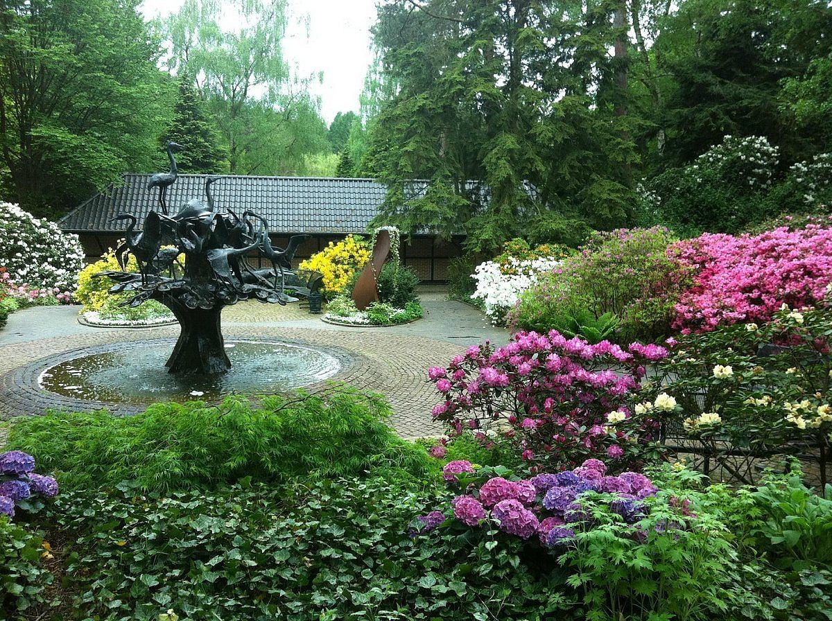 blog-images