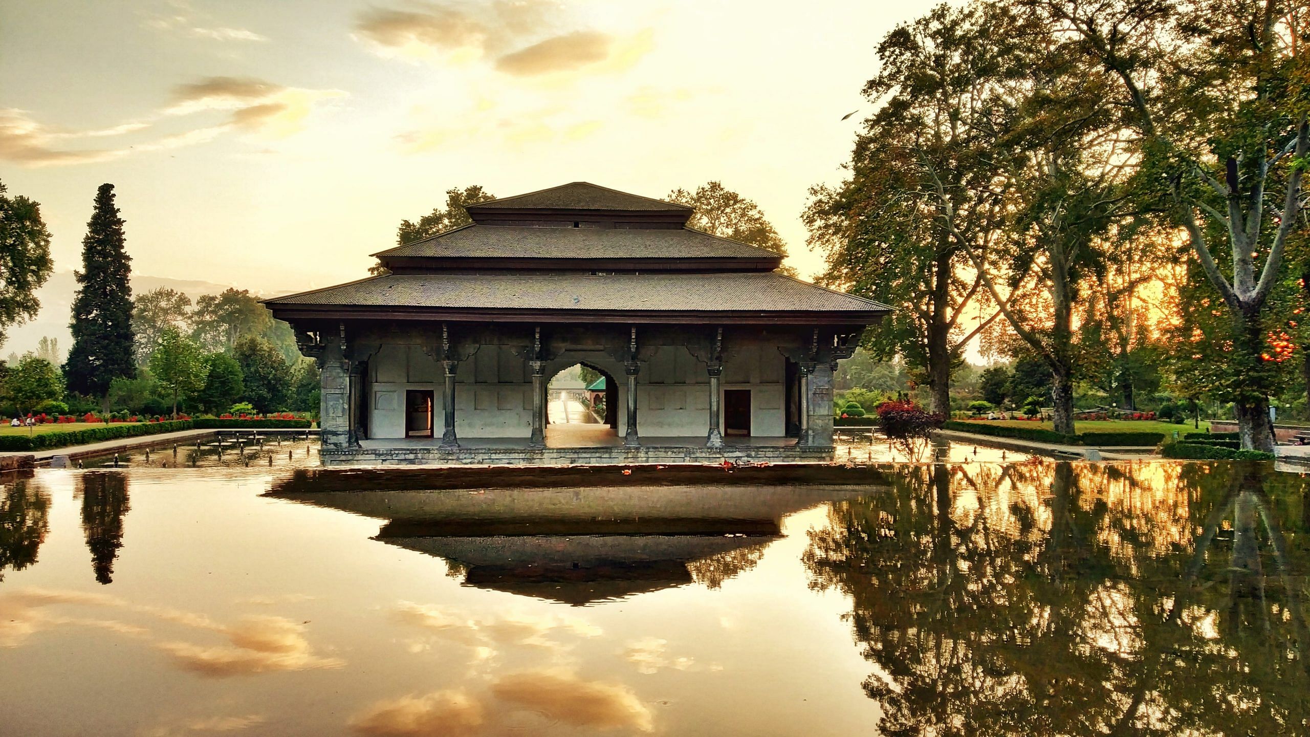 blog-images