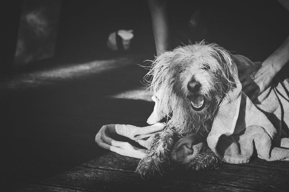 blog-images