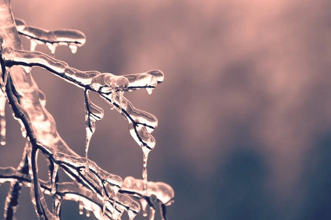 how-to-survive-extreme-weather