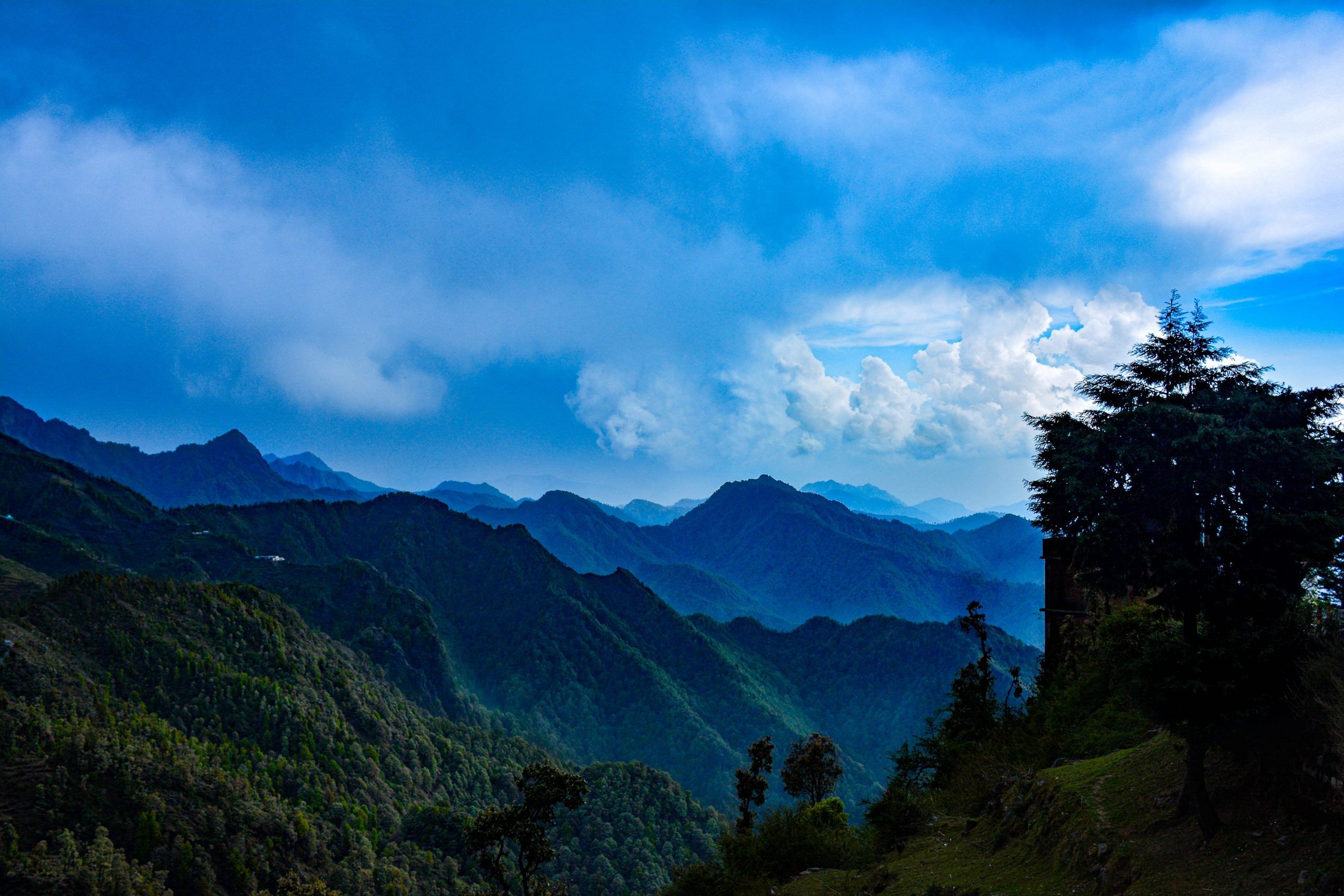 blog-images