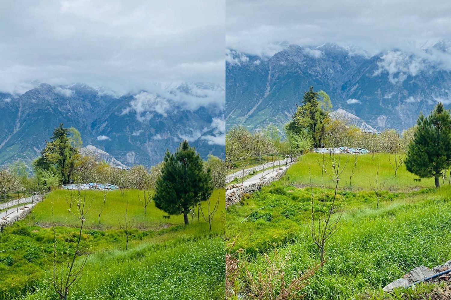 blog-images
