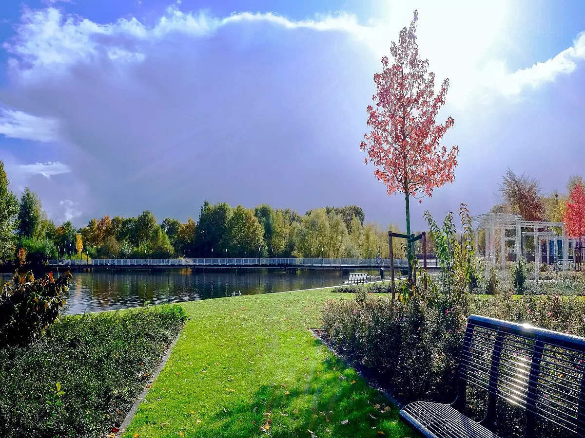 ved-van-park
