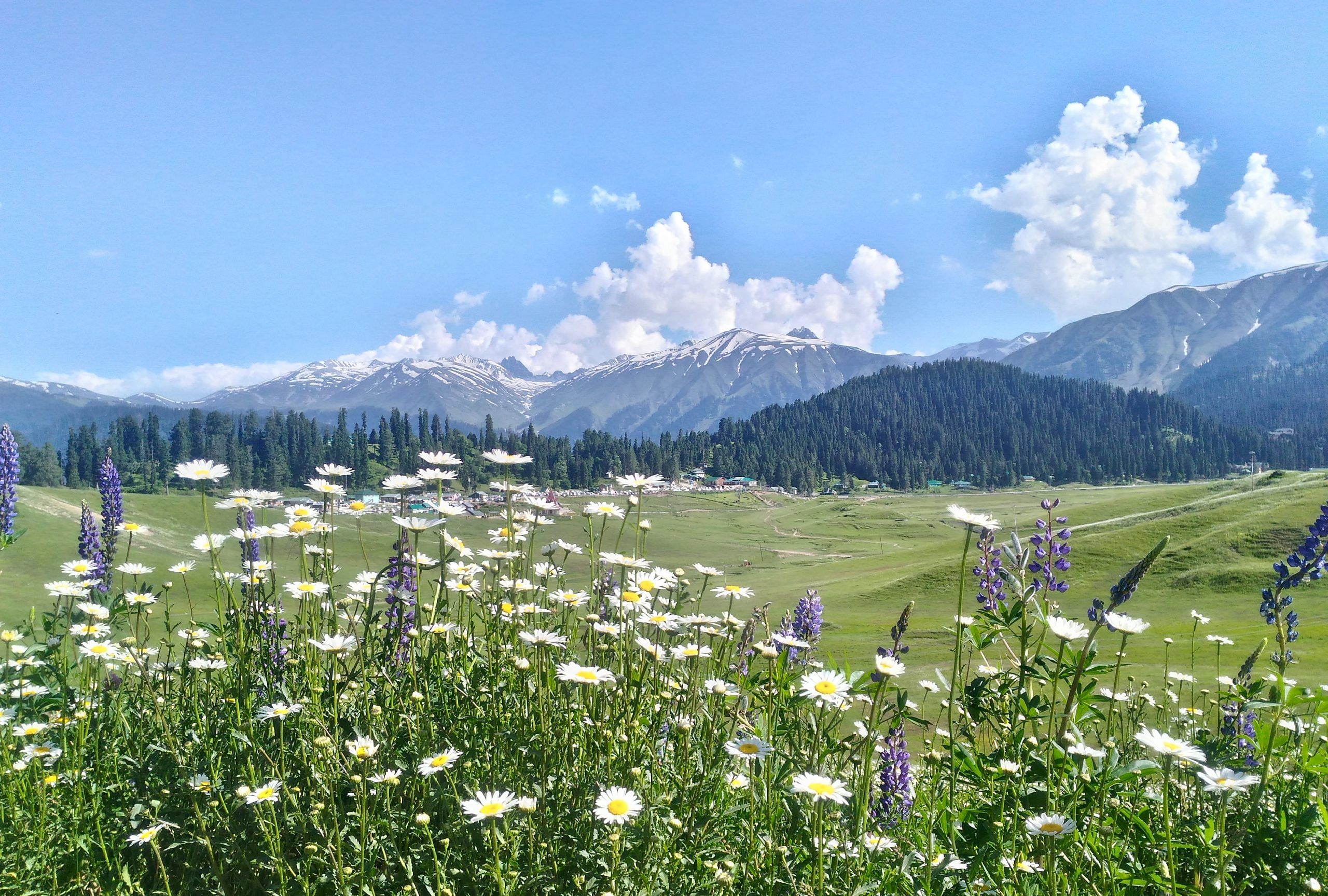 blog-images