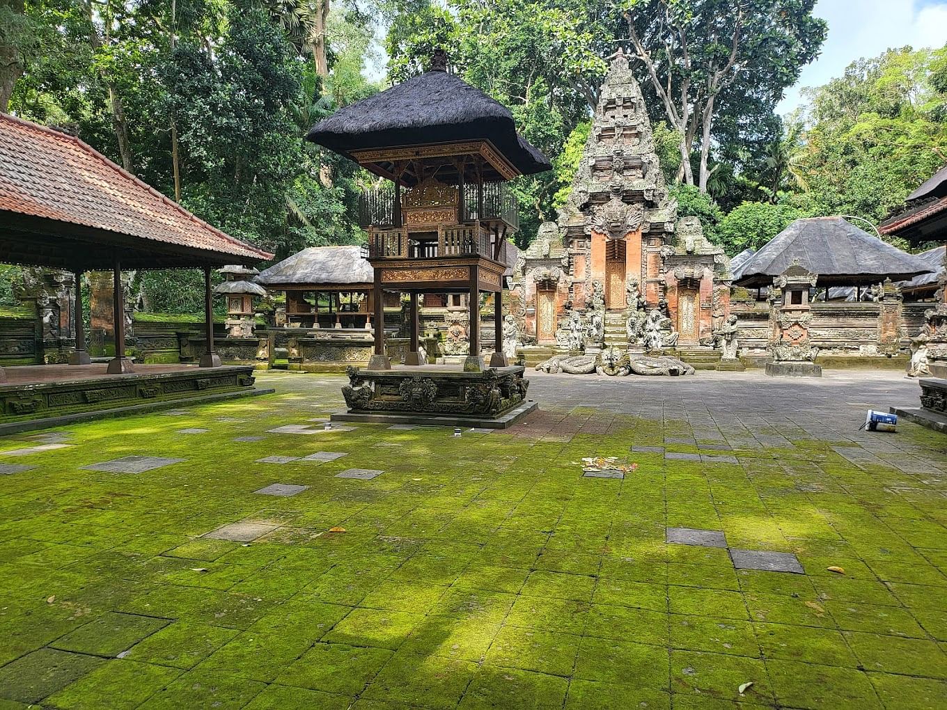 ubud-monkey-in-bali