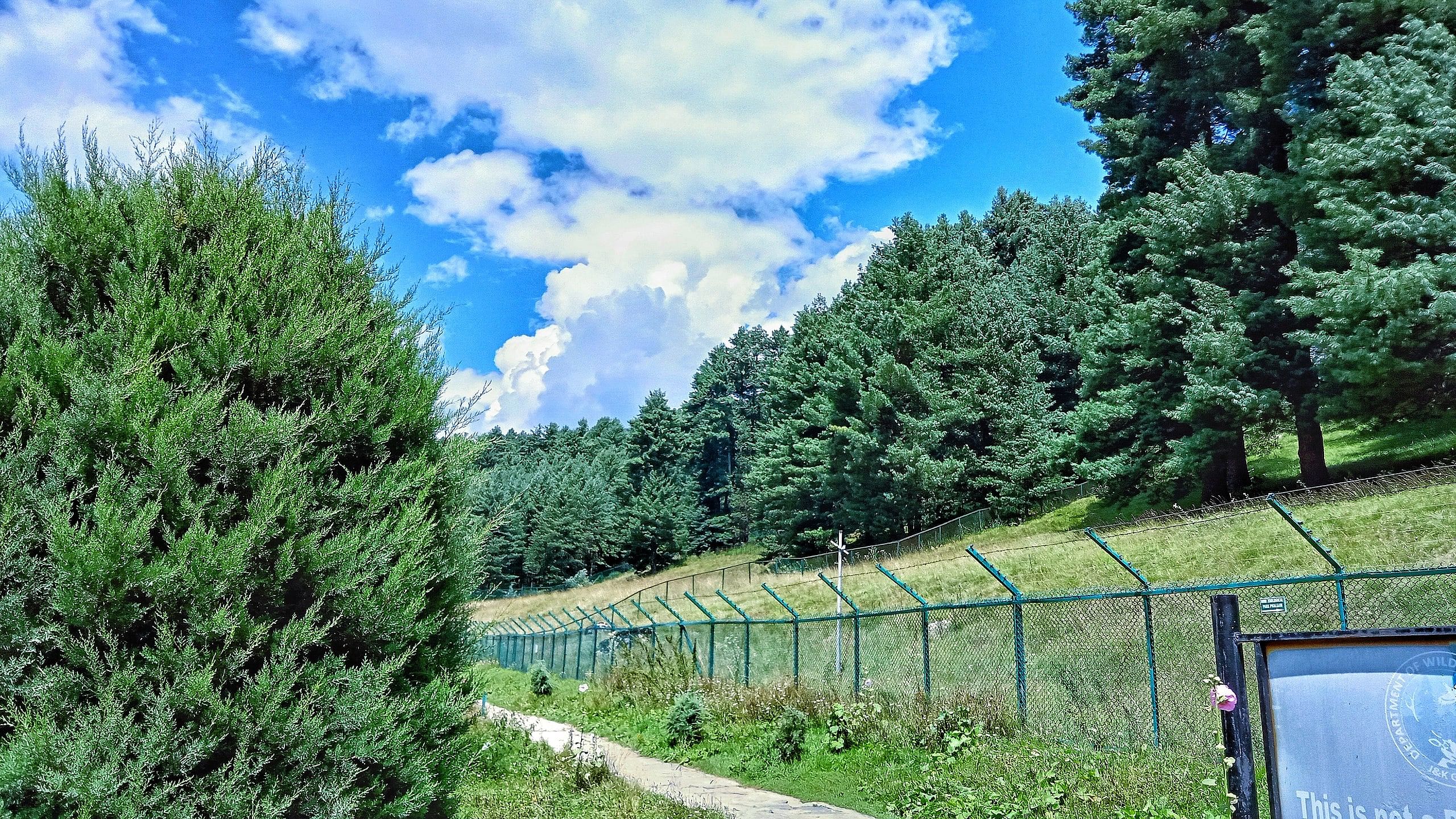 blog-images