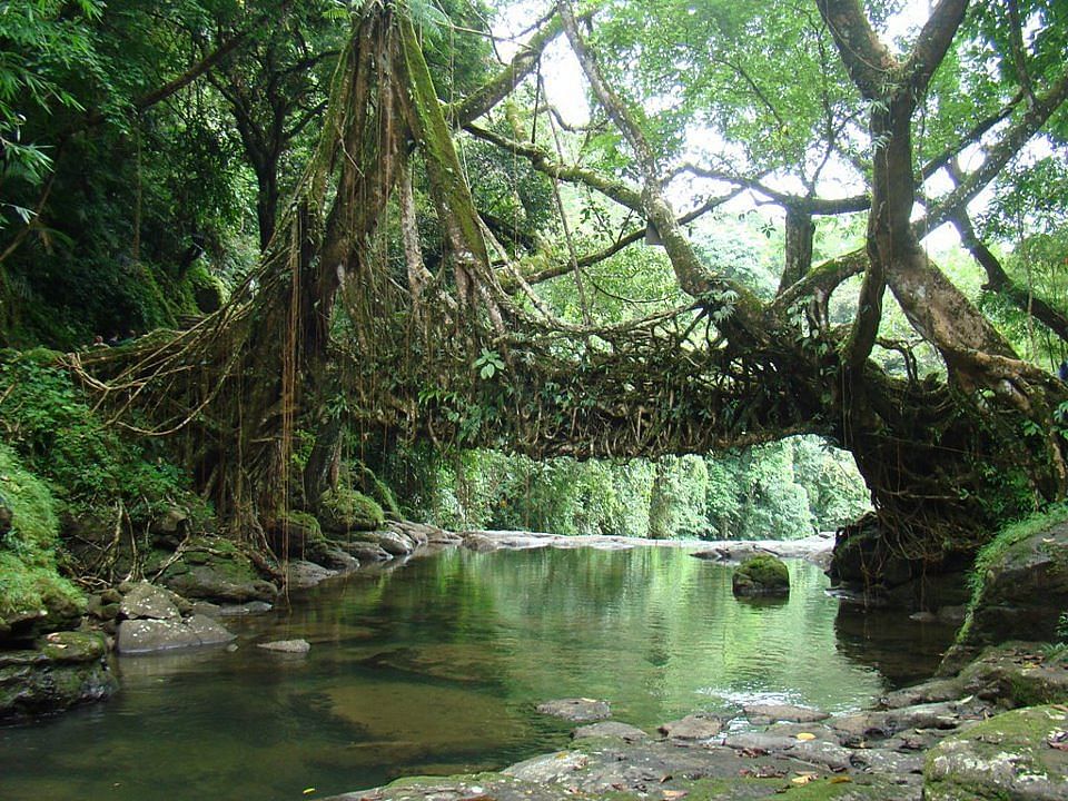 blog-images