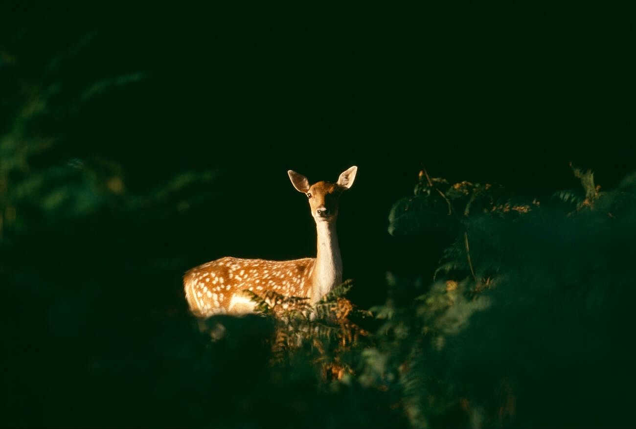 blog-images