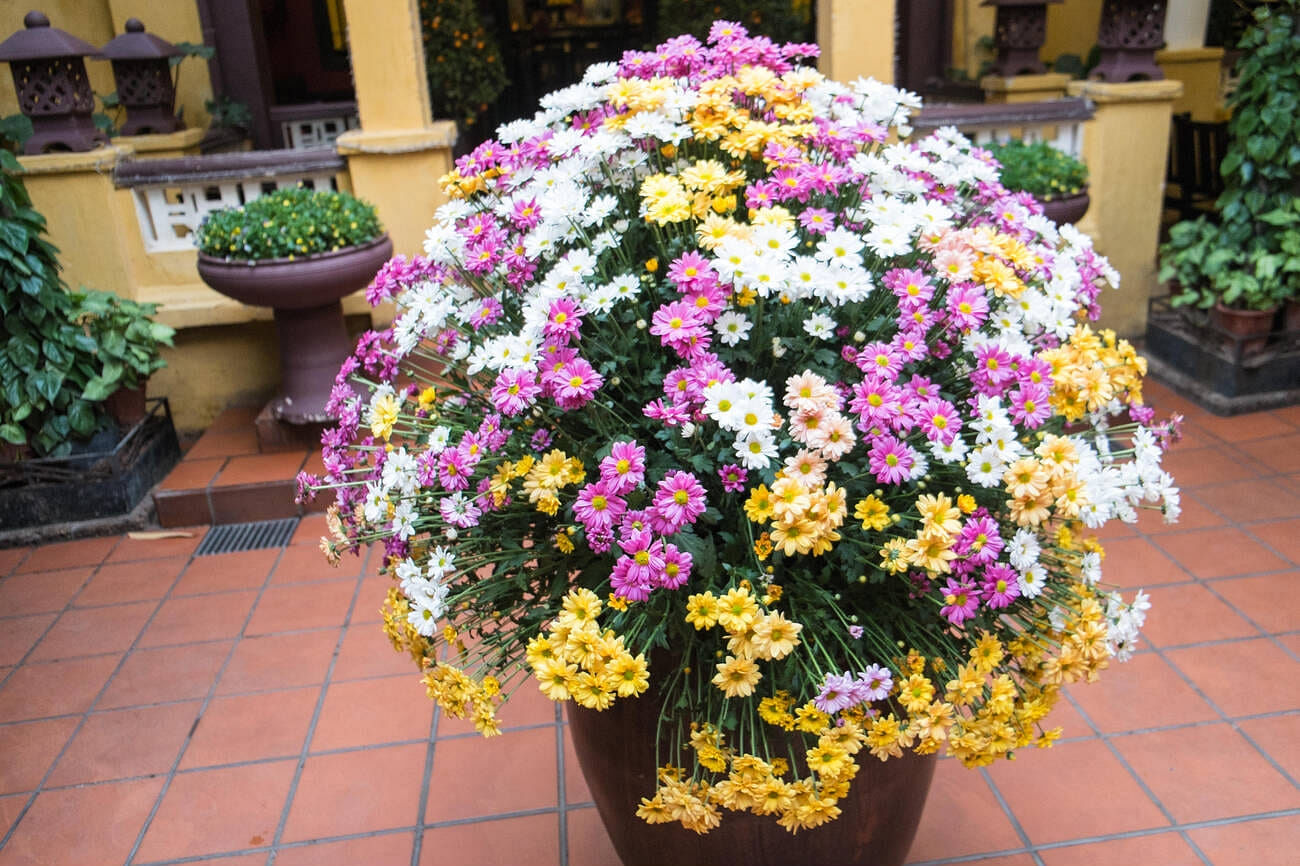 blog-images
