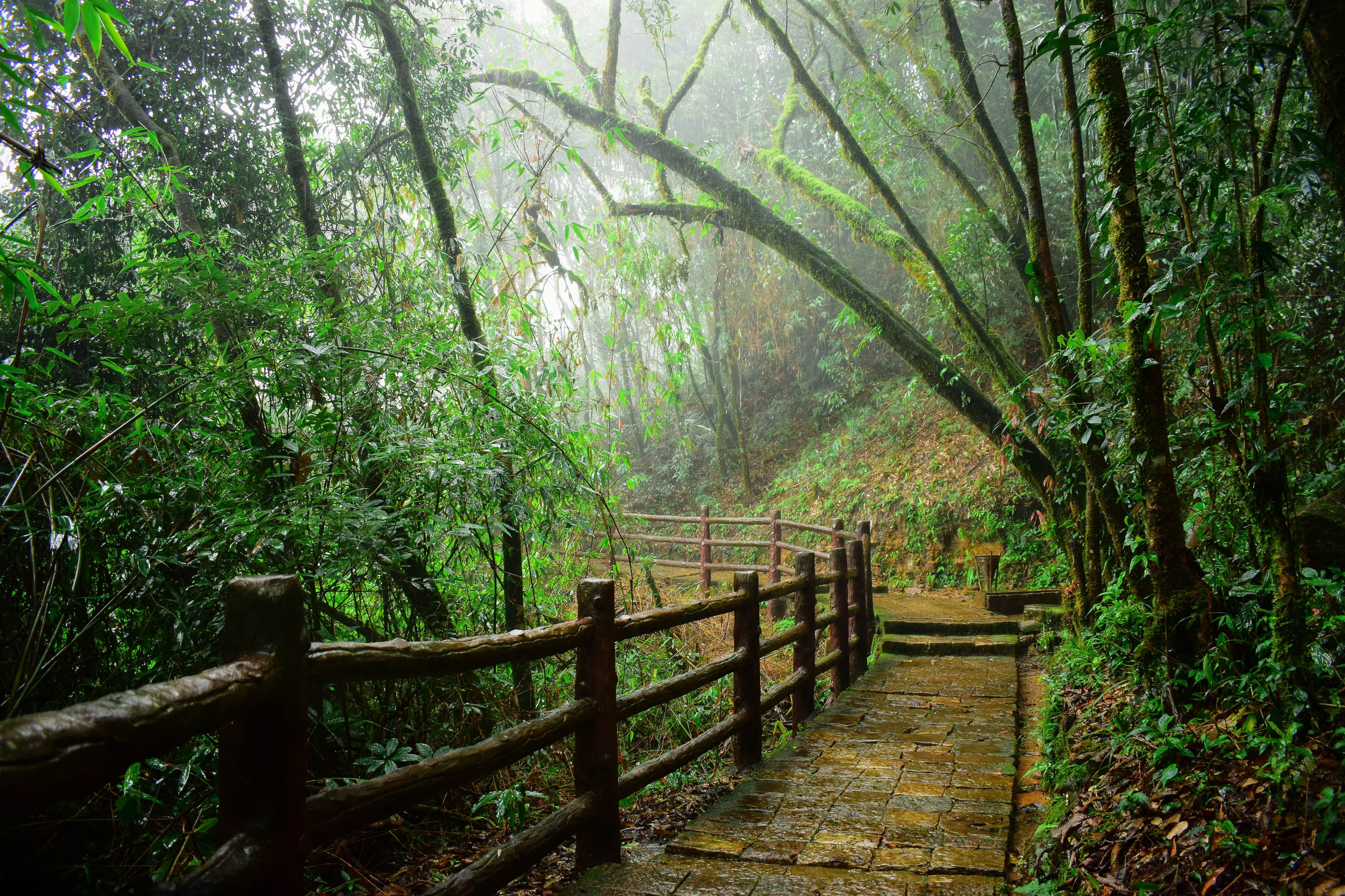 trekking-in-shillong