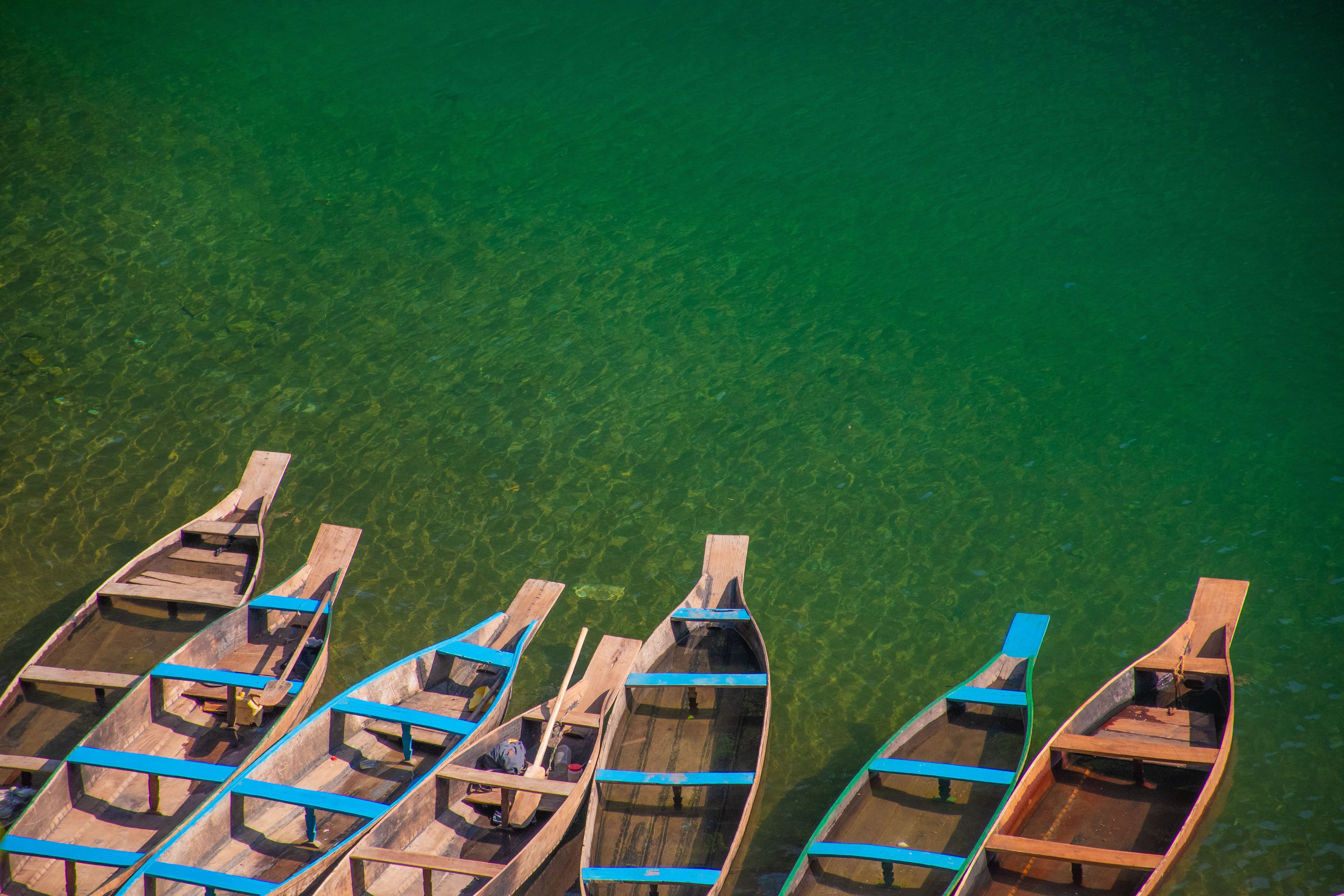 things to do in shillong