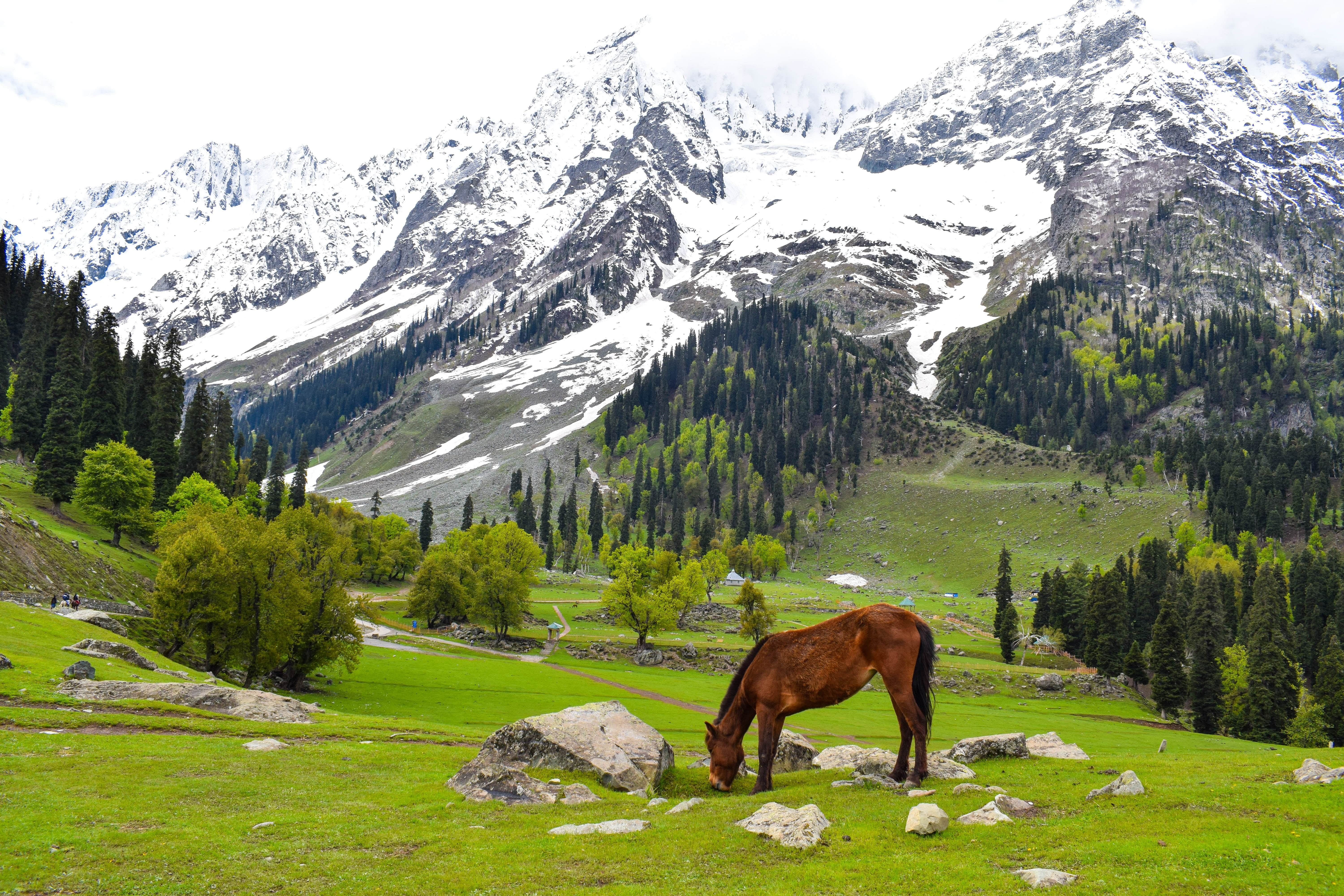 valleys-in-kashmir