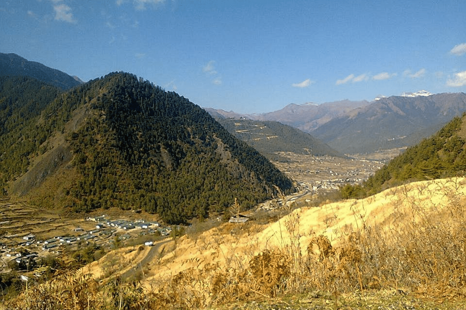 blog-images