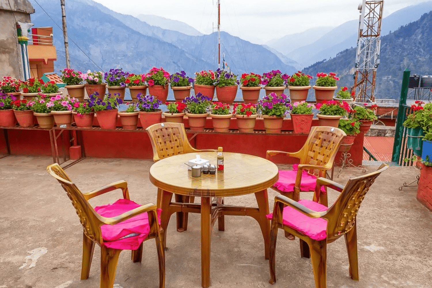yak-cafe-in-spiti-valley