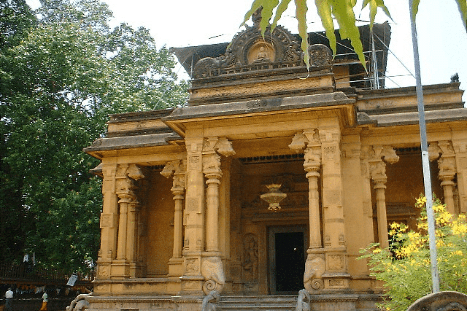 blog-images