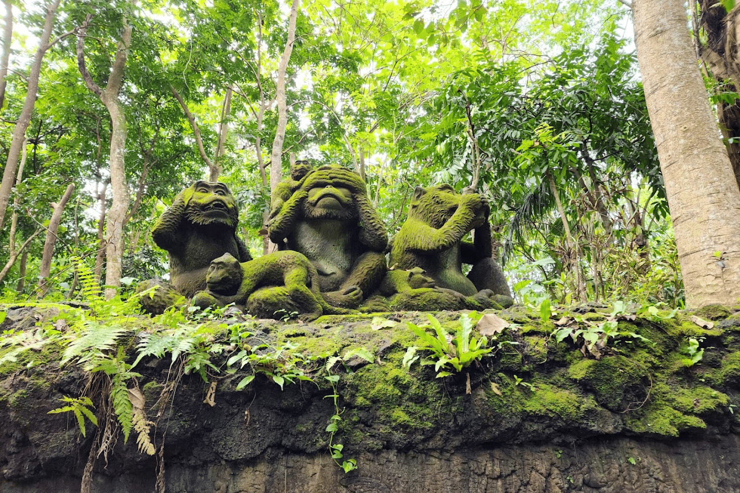 blog-images