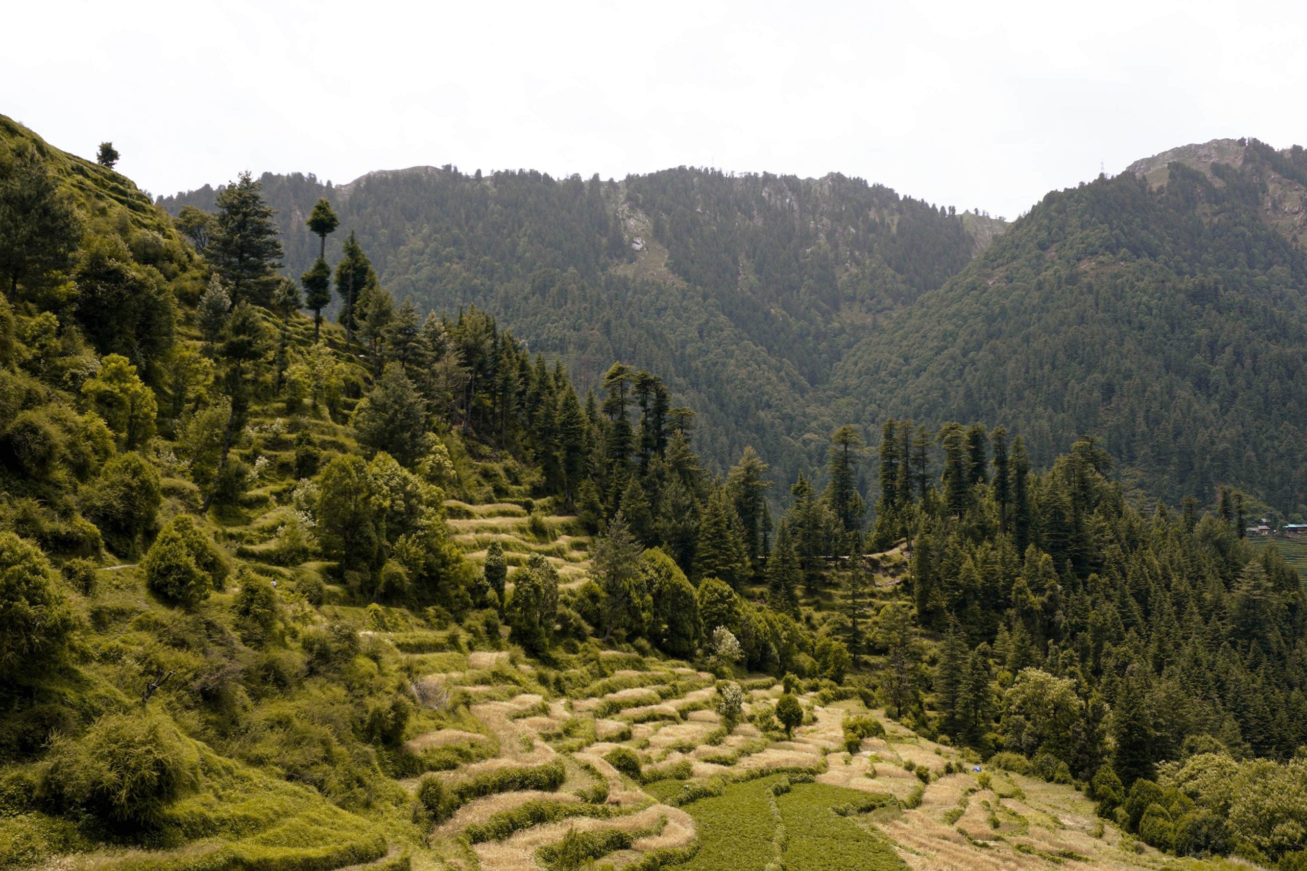 blog-images