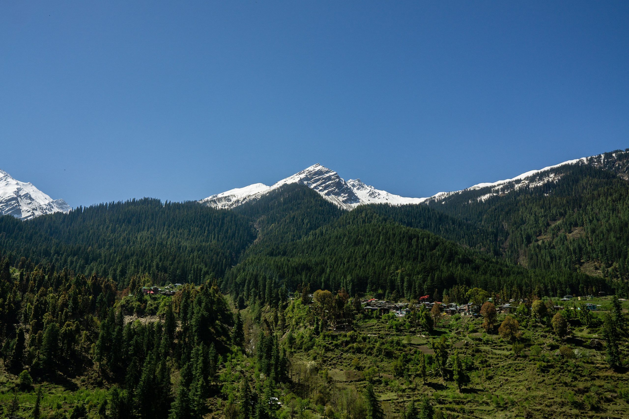 blog-images