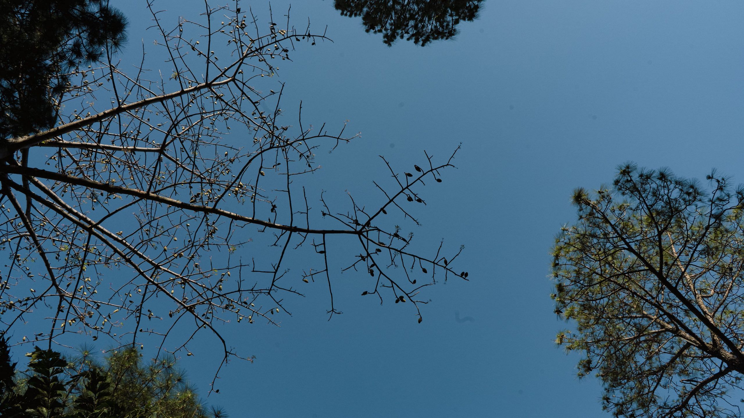 blog-images