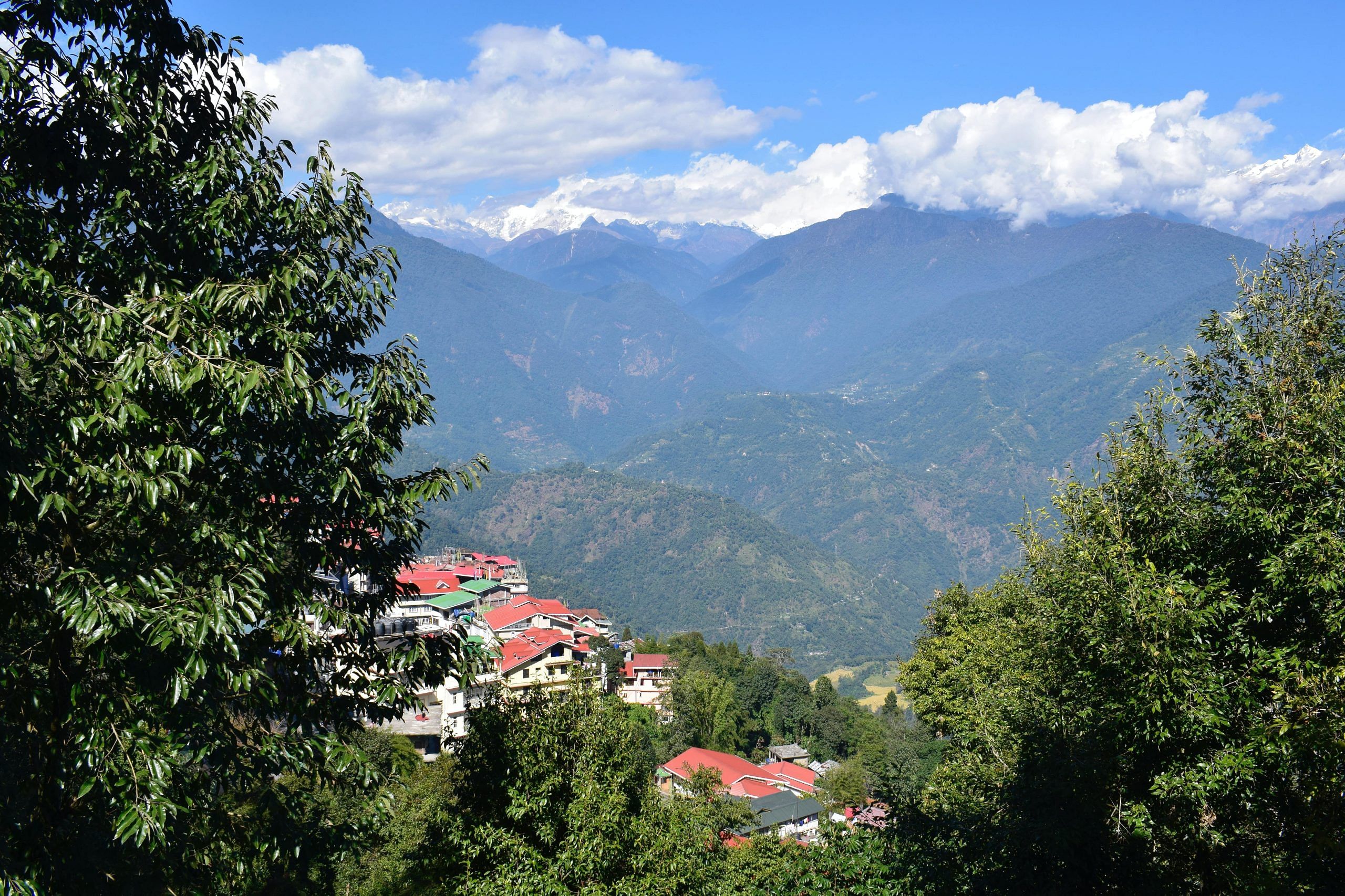 blog-images