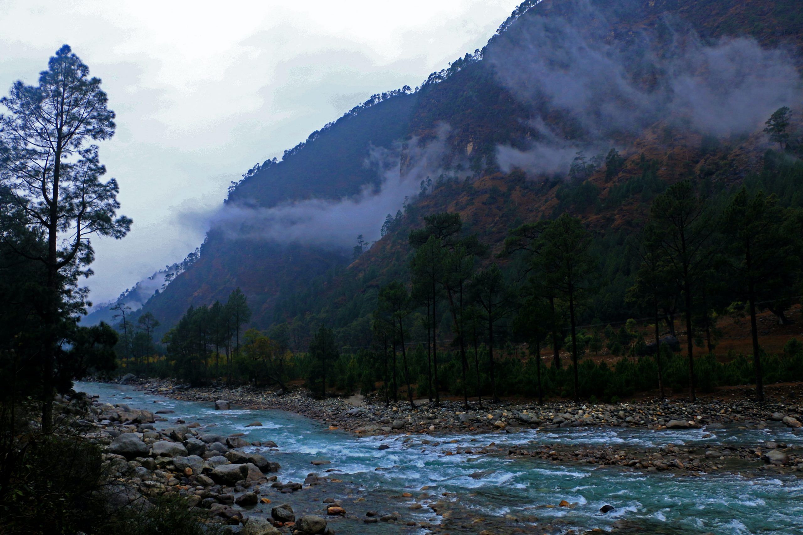 blog-images