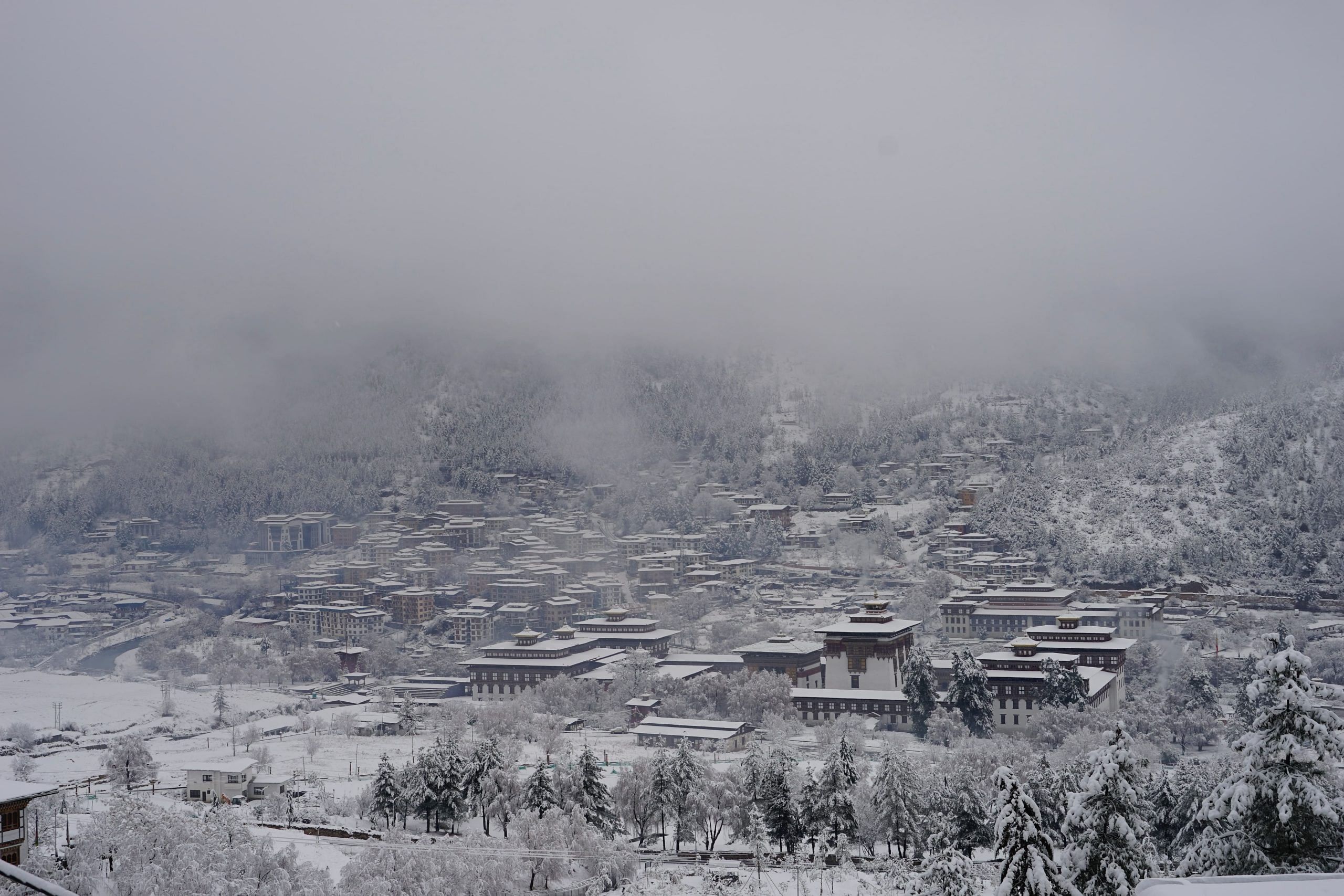 blog-images