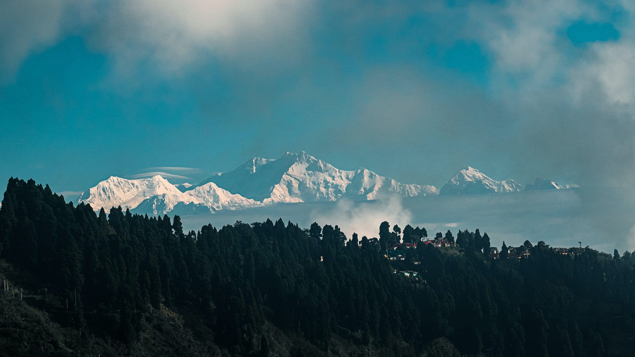 blog-images