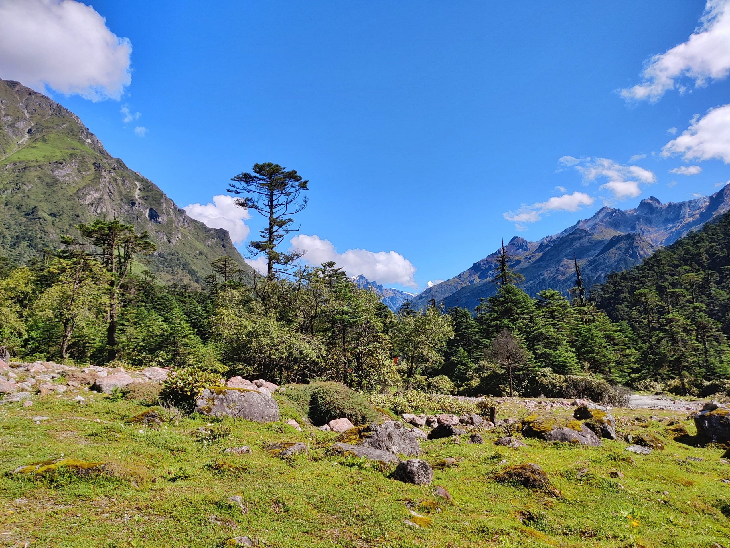 blog-images