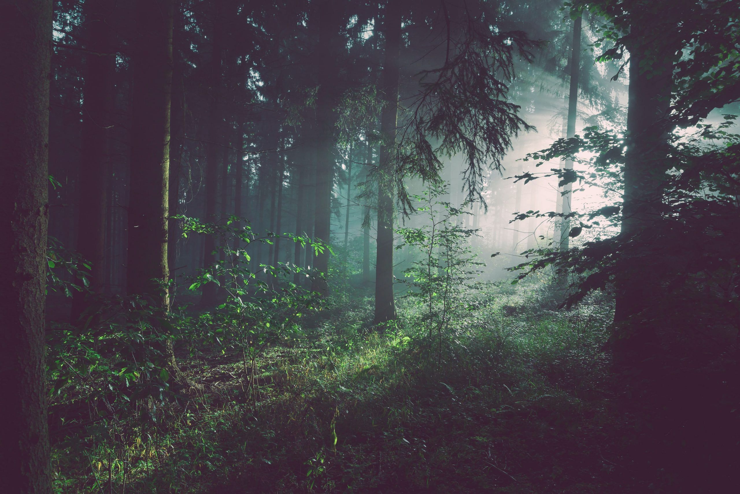 blog-images