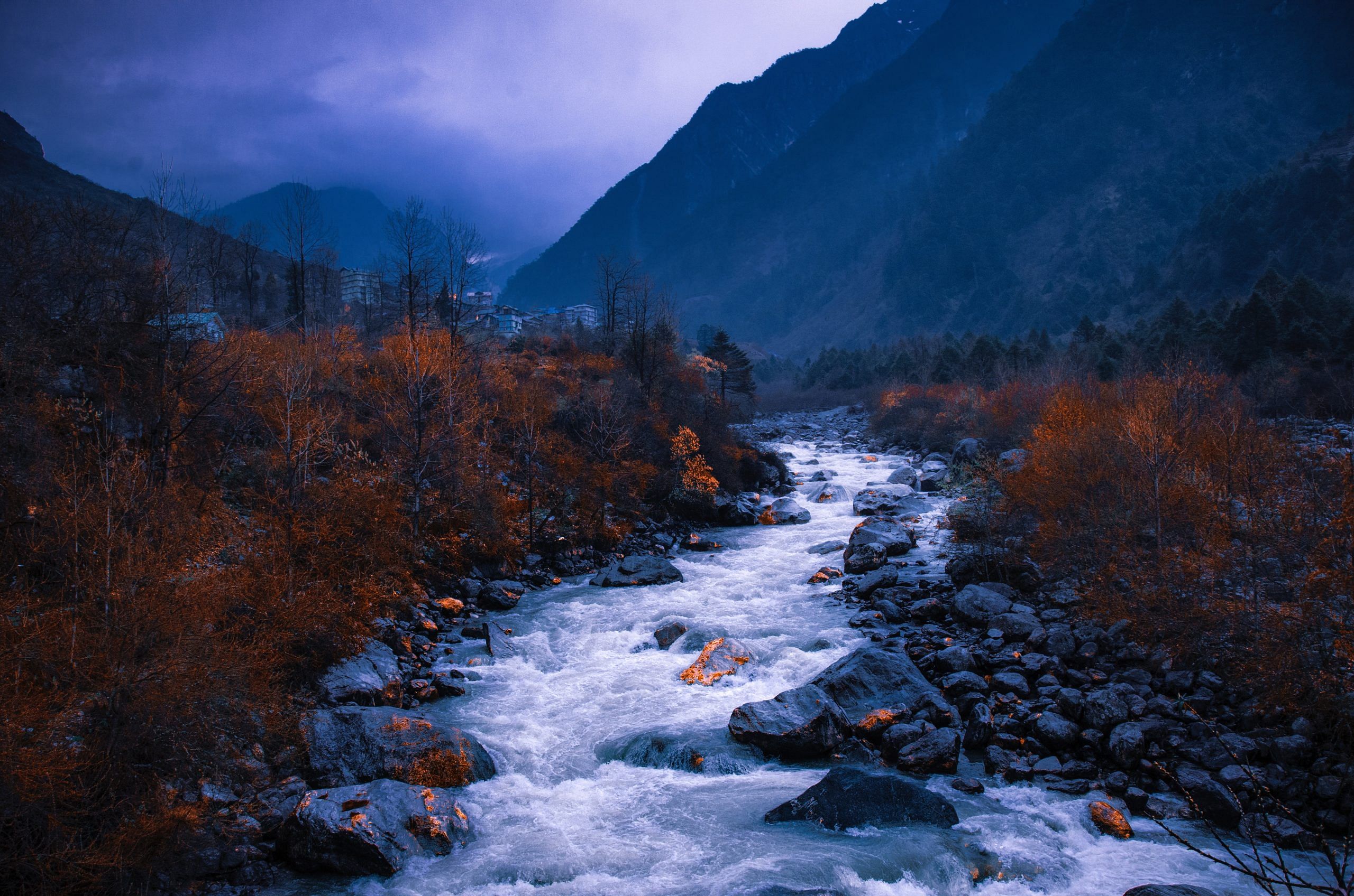 blog-images