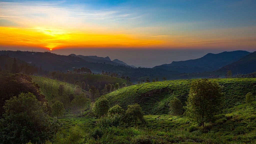 kodaikanal-or-ooty-for-honeymoon