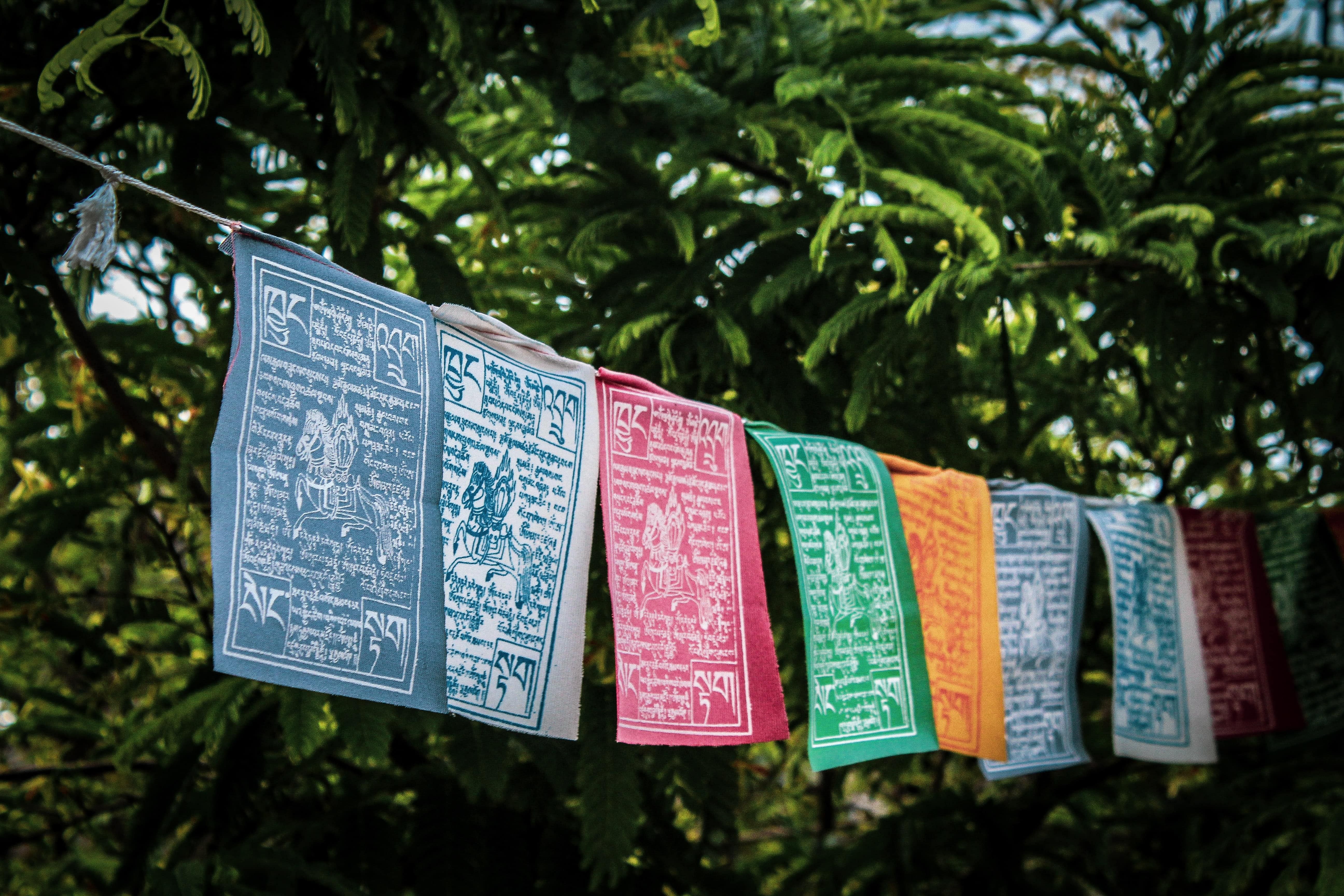 shopping-in-sikkim