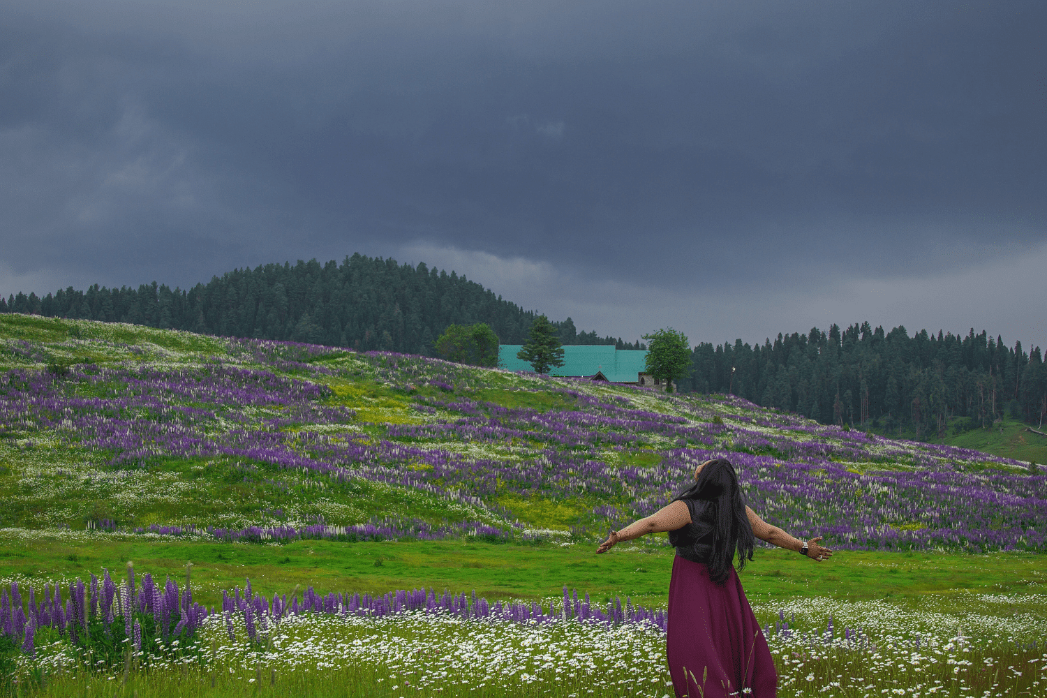 kashmir-for-honeymoon