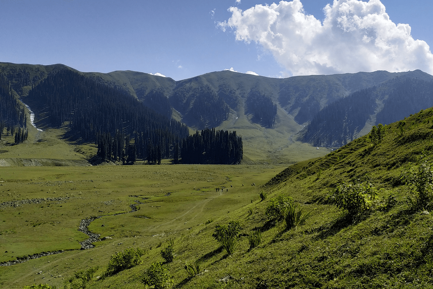 blog-images