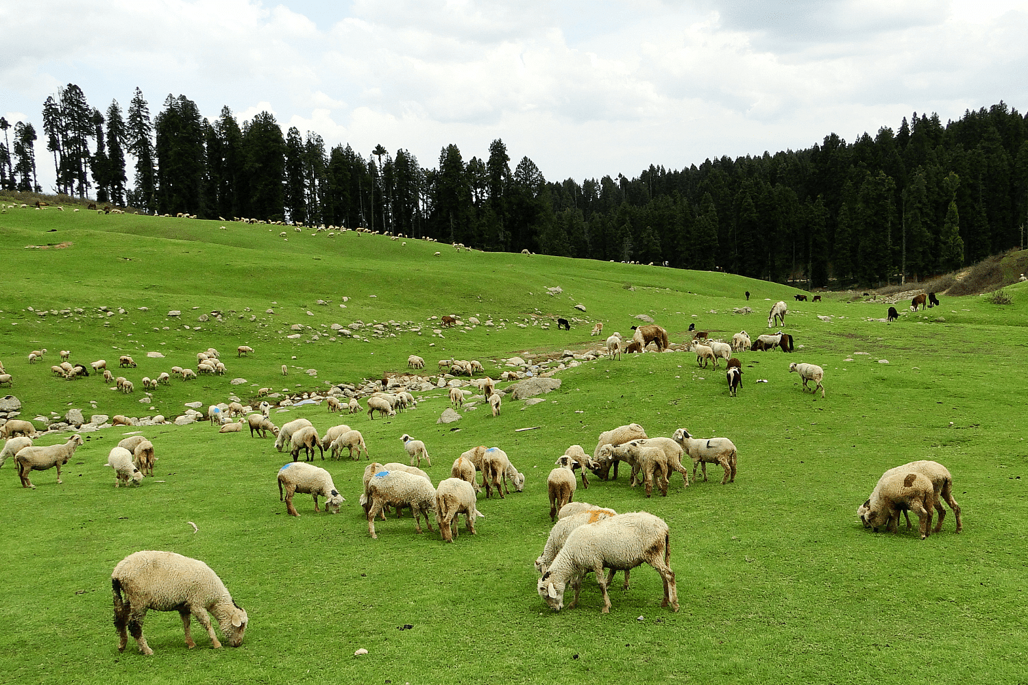 blog-images