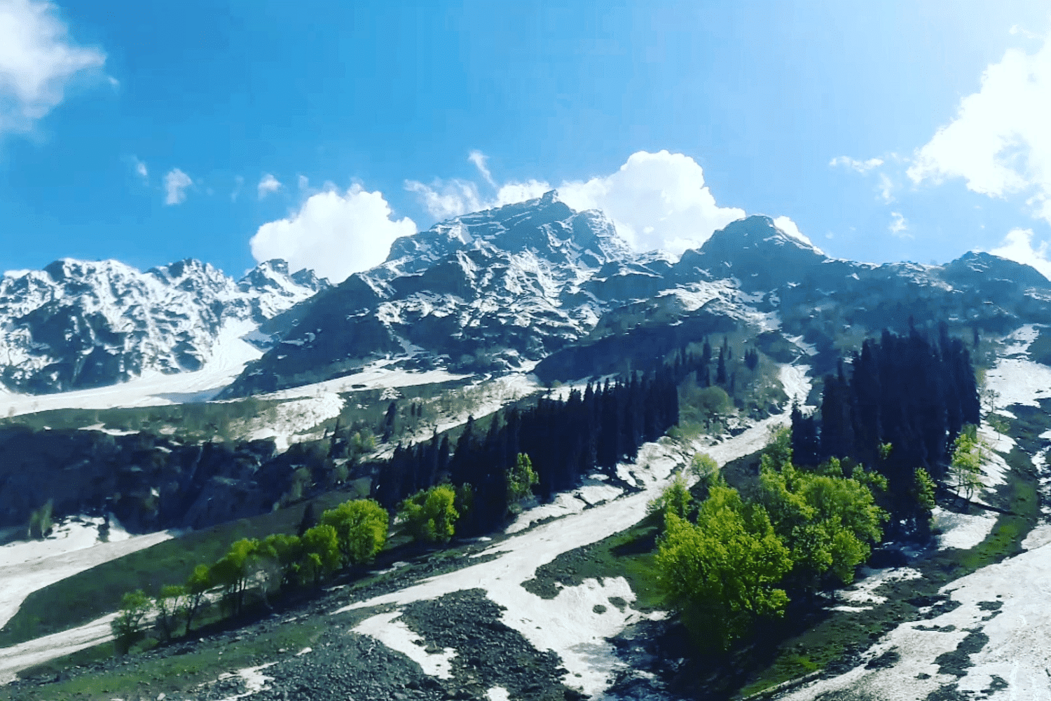 blog-images