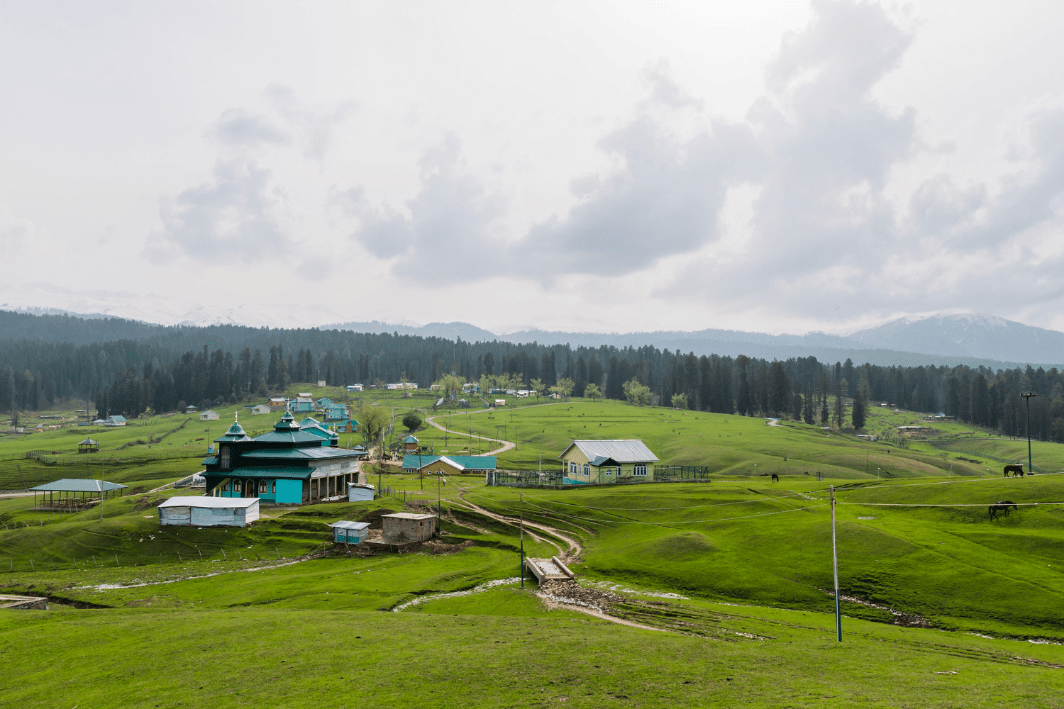 blog-images