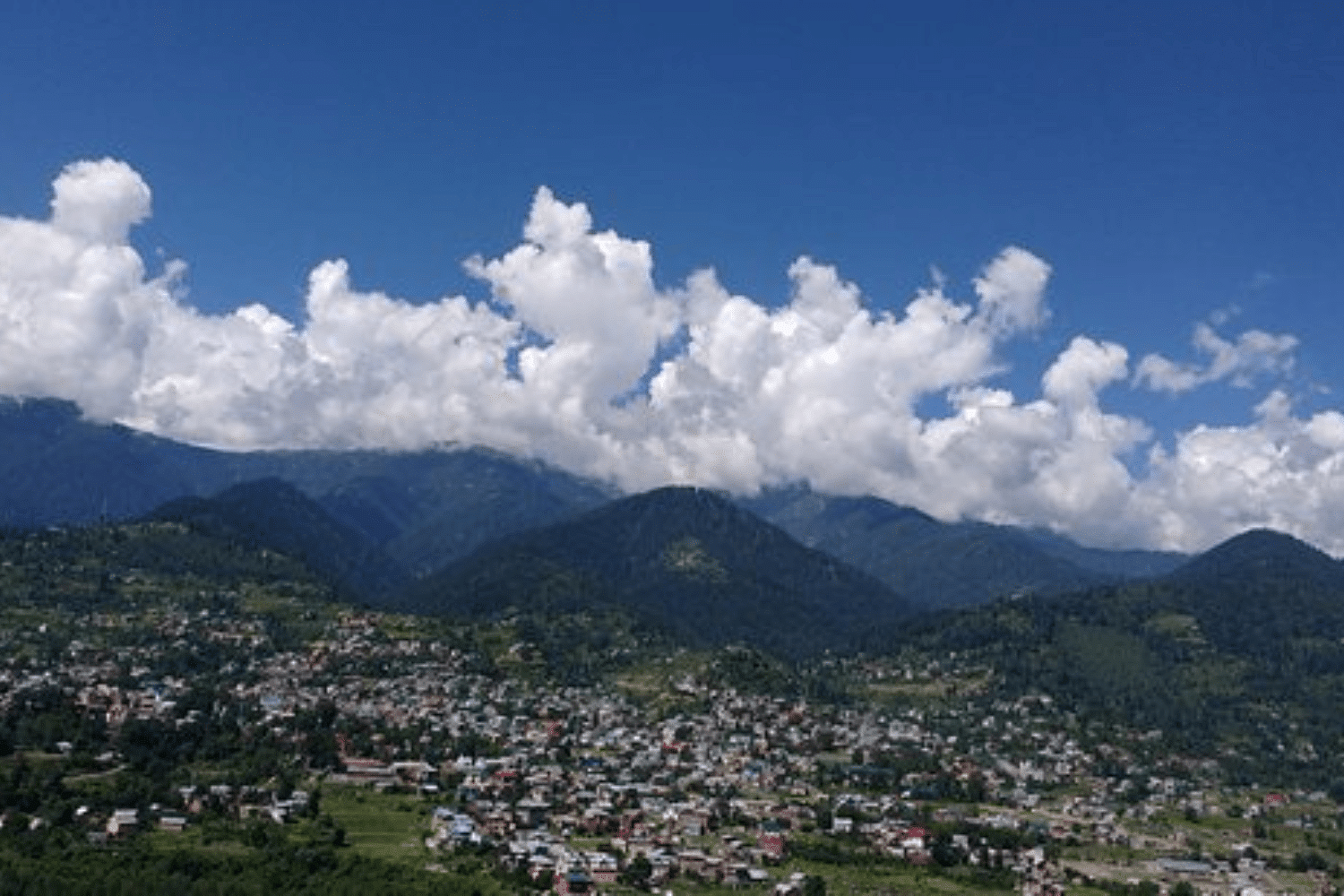 blog-images