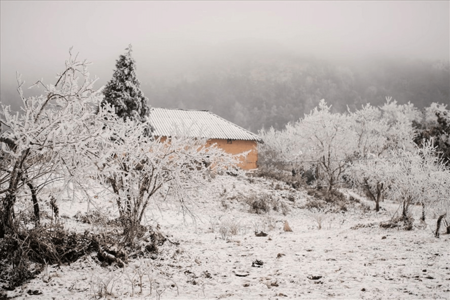 blog-images