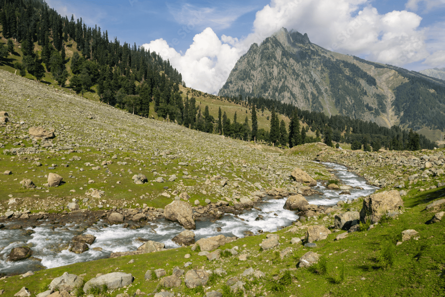 blog-images