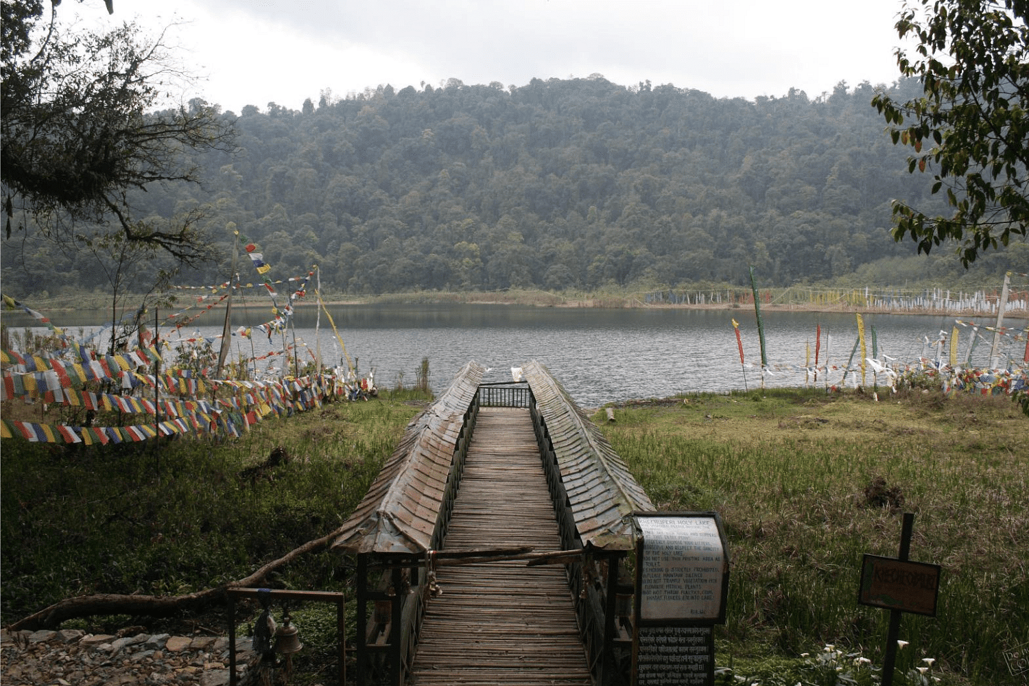 blog-images
