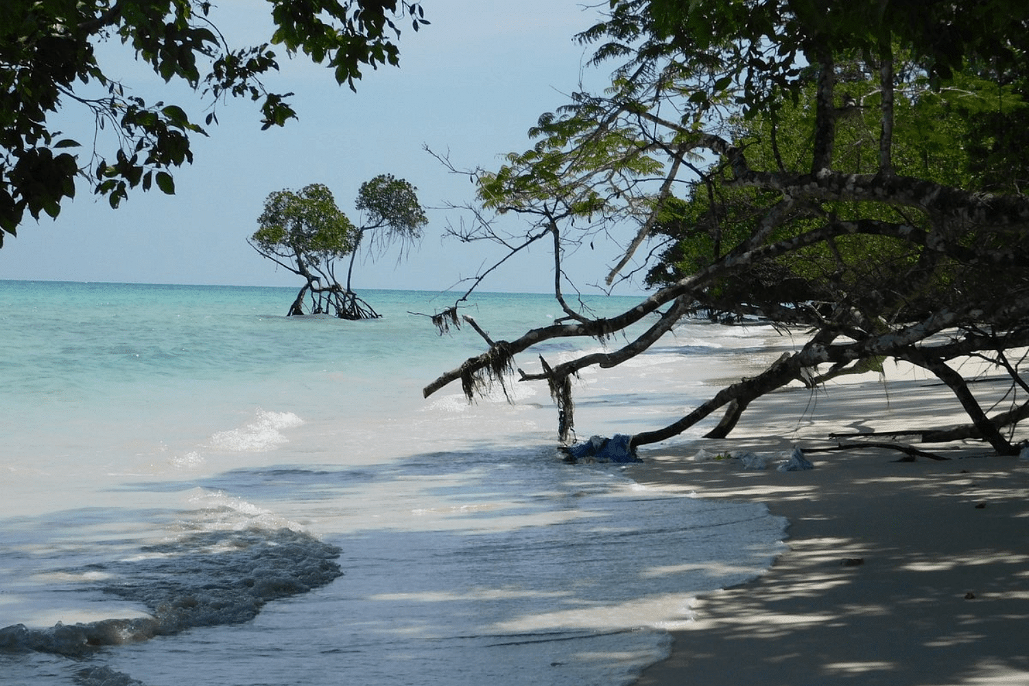 blog-images