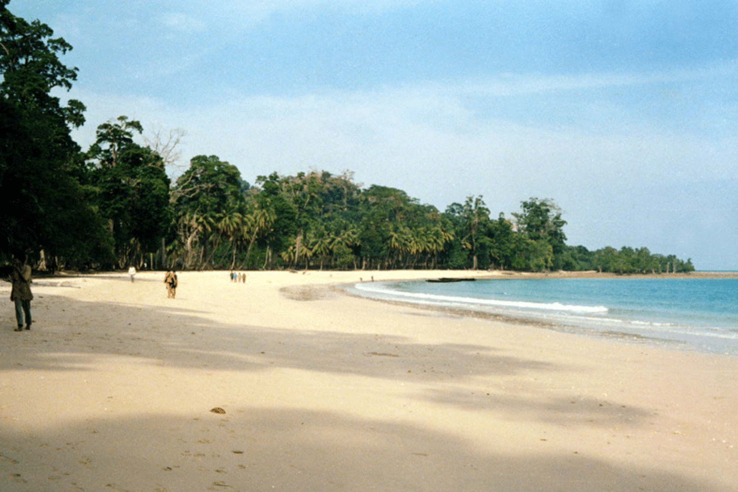 blog-images