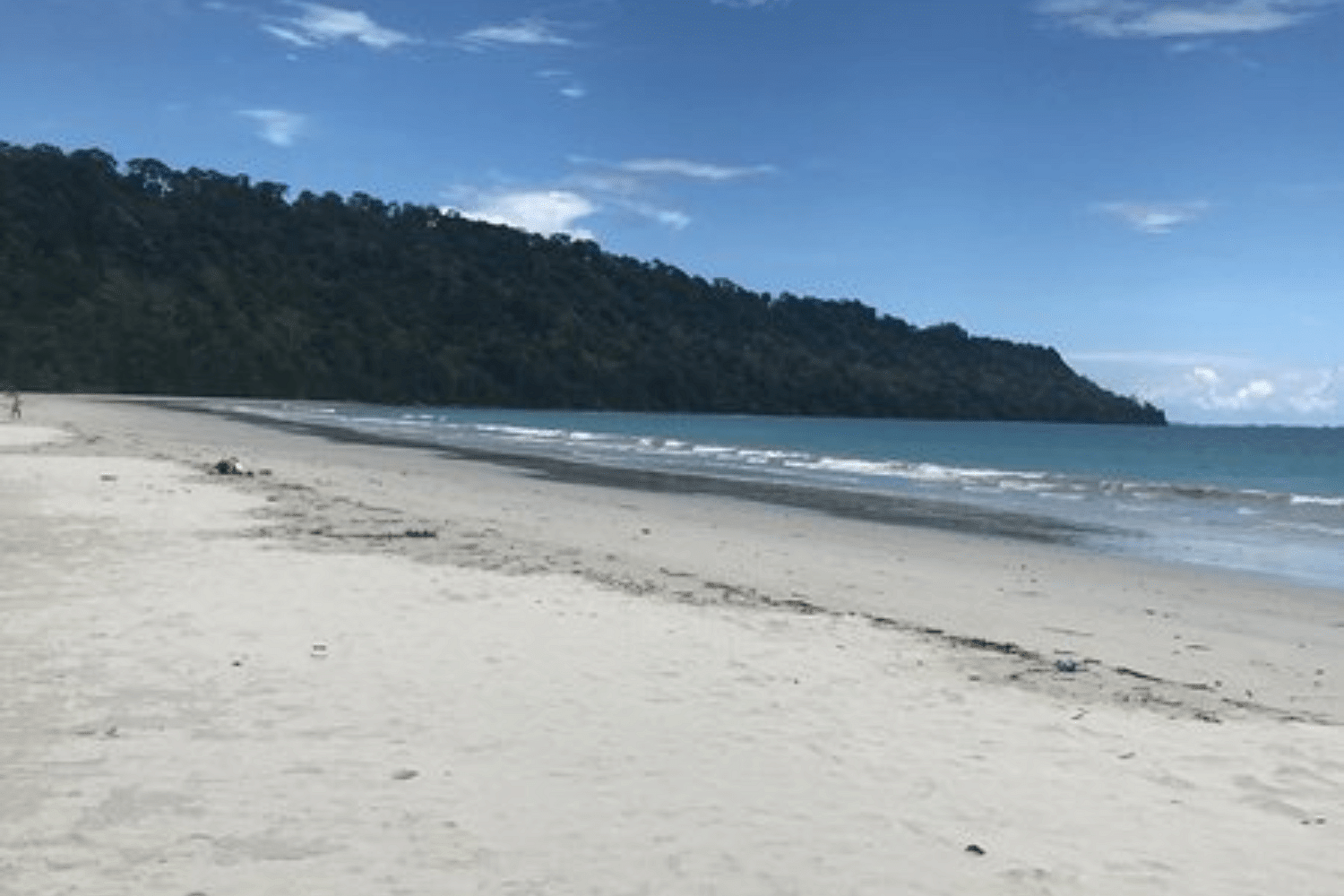 blog-images